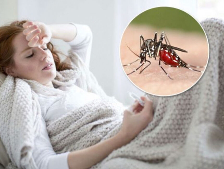 Sốt rét là gì? Nguyên nhân gây bệnh và nguyên tắc điều trị