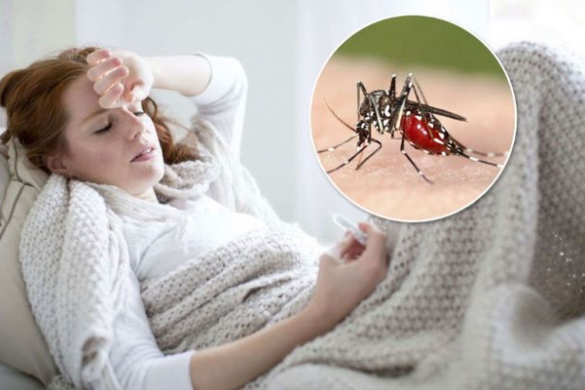 Sốt rét là gì? Nguyên nhân gây bệnh và nguyên tắc điều trị