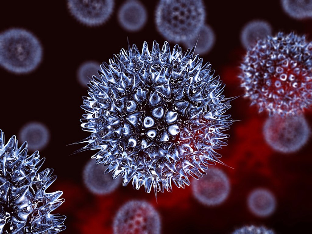 Herpes sinh dục: Bệnh lây truyền qua đường tình dục