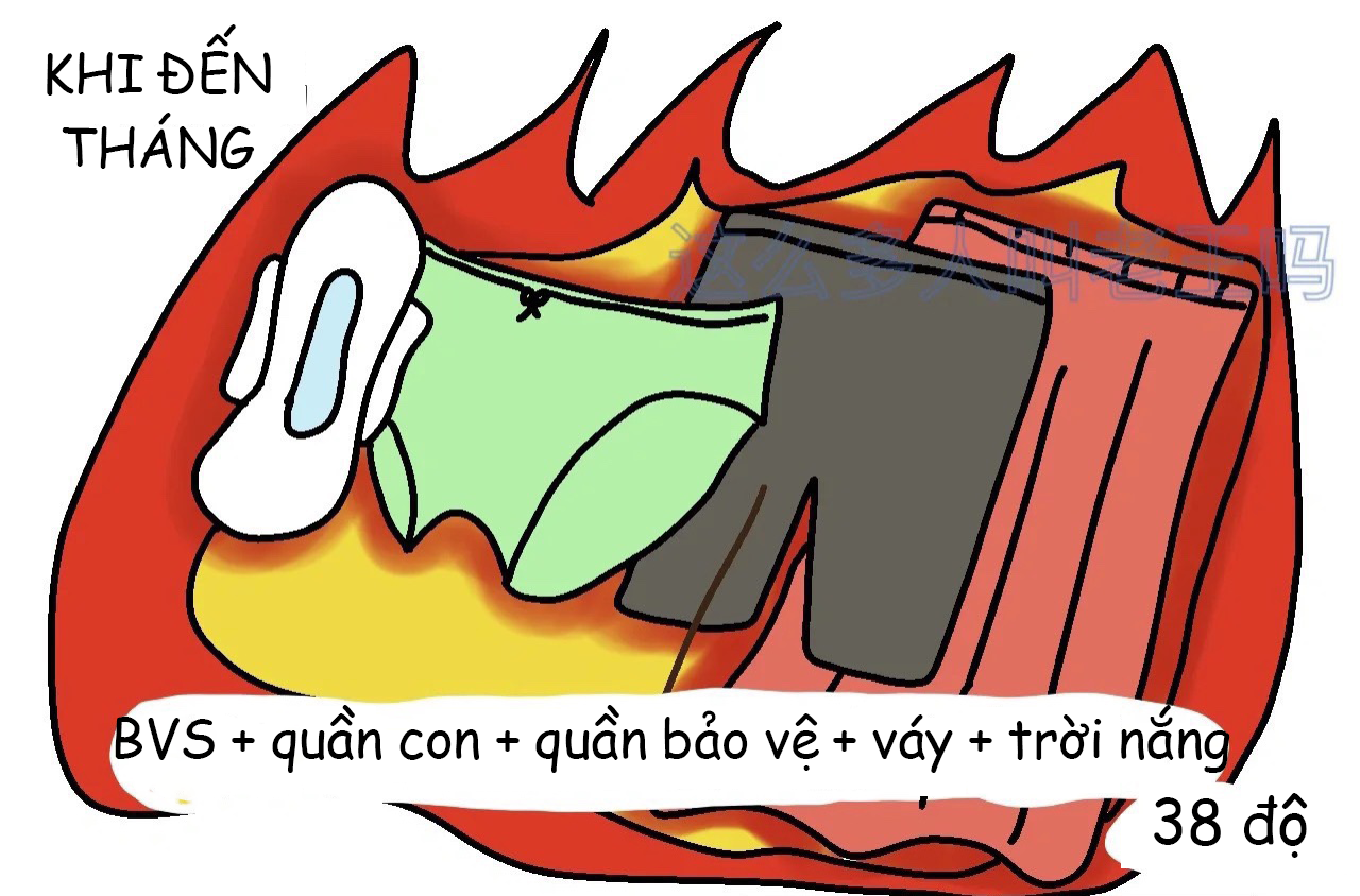 Gút